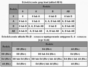 Grupa Krwi Rh A Ojcostwo - Czy Po Grupie Krwi Można Ustalić Ojcostwo?