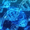 test na ojcostwo na 34 markerach DNA, 34 markery DNA
