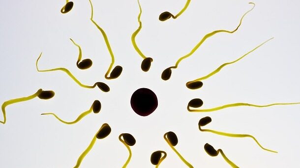 Jak sprawdzić spermę na ubraniu